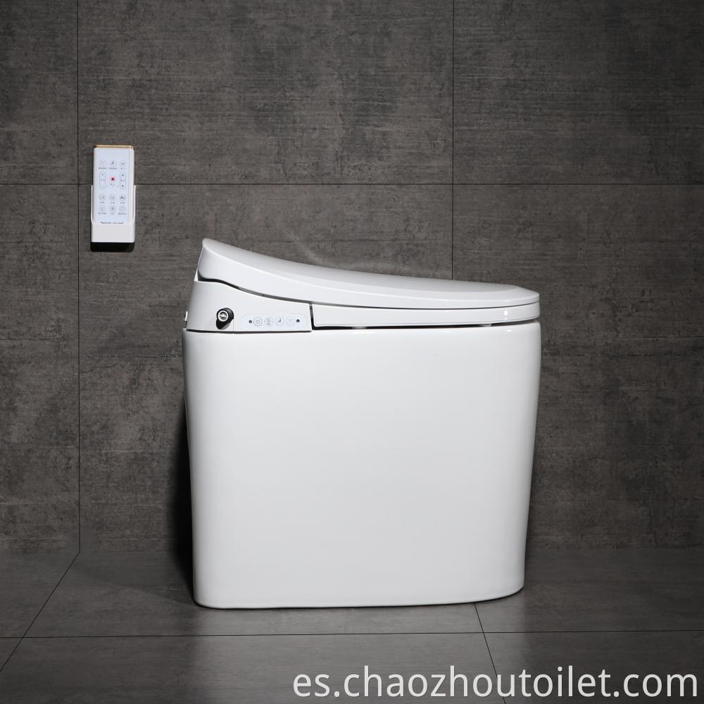 6102 21 Smart Toilet